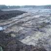 Watching brief, General view of the pattern of ditches, Construction, Stroupster Farm, Caithness