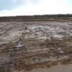 Watching brief, Peat removed from overburden storage area showing features associated with forestry planting, Construction, Stroupster Farm, Caithness