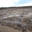 Watching brief, Peat removed from overburden storage area showing features associated with forestry planting, Construction, Stroupster Farm, Caithness