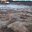 Watching brief, Temporary bund cleared within cell to, Borrow Pit, Construction, Stroupster Farm, Caithness