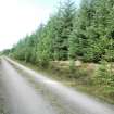 Watching brief, Area site 3, Clashindarroch Windfarm, Aberdeenshire