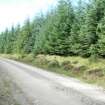 Watching brief, Area site 3, Clashindarroch Windfarm, Aberdeenshire