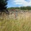 Watching brief, Site 3 "Corshalloch", Clashindarroch Windfarm, Aberdeenshire