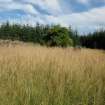 Watching brief, Site 3 "Corshalloch", Clashindarroch Windfarm, Aberdeenshire