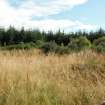 Watching brief, Site 3 "Corshalloch", Clashindarroch Windfarm, Aberdeenshire