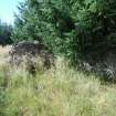 Watching brief, Site 3 "Corshalloch", Clashindarroch Windfarm, Aberdeenshire