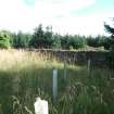 Watching brief, Site 3 "Corshalloch", Clashindarroch Windfarm, Aberdeenshire