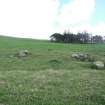 Watching brief, Site 116 area - related to lime kiln, Clashindarroch Windfarm, Aberdeenshire