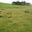 Watching brief, Almost imperceptible round feature in the area of site 116, Kiln remains?, Clashindarroch Windfarm, Aberdeenshire