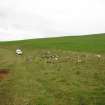 Watching brief, Site 116 area - fenced (10/9/13), Clashindarroch Windfarm, Aberdeenshire