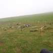 Watching brief, Site 116 fenced, Clashindarroch Windfarm, Aberdeenshire