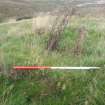 Watching brief, Lime kiln indentified - site 116, Clashindarroch Windfarm, Aberdeenshire