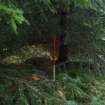 Watching brief, Site 2 - Bank of dry pond within forest, Clashindarroch Windfarm, Aberdeenshire