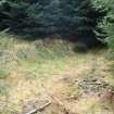Watching brief, Site 2 - Dry pond within forest, Clashindarroch Windfarm, Aberdeenshire