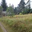 Watching brief, Site 2 - Hollow and house/building, Clashindarroch Windfarm, Aberdeenshire