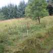 Watching brief, Site 2 - Hollow, Clashindarroch Windfarm, Aberdeenshire