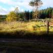 Watching brief, Site 2 fenced off (from existing road), Clashindarroch Windfarm, Aberdeenshire