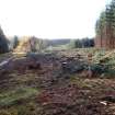 Watching brief, Road corridor through site 2, Clashindarroch Windfarm, Aberdeenshire