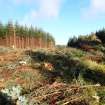 Watching brief, Road corridor through site 2, Clashindarroch Windfarm, Aberdeenshire