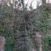 View taken from the north bank of the Ale Water of the gully beside which Thomson’s Cave was previously located. 
