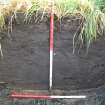 Archaeological evaluation, Trench 4 W facing section showing topsoil depth, Site 9, Borders Railway Project