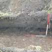 Archaeological evaluation, Trench 1E facing section, Site 11, Borders Railway Project