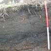 Archaeological evaluation, Trench 1 E facing detail showing 003, Site 11, Borders Railway Project