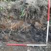 Archaeological evaluation, Trench 2 W facing section showing 003, Site 11, Borders Railway Project