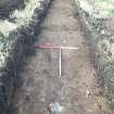 Archaeological evaluation, Trench 5 post-excavation, Site 11, Borders Railway Project