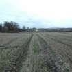 Archaeological evaluation, JCB track marks leaving site, Site 11, Borders Railway Project