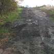 Archaeological evaluation, Road After Final Cleaning, Site 13, Borders Railway Project