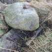 Archaeological evaluation, Detail of reinforced concrete, Site 622, Borders Railway Project