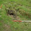 Field survey, Shot of stone culvert site 487, Borders Railway Project