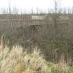 Field survey, Whitehill Mains Overbridge (Site 2), Borders Railway Project