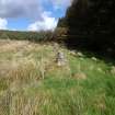 Walkover survey, Field wall site b, Windy Standard Wind Farm Extension, Carsphairn Forest, Dumfries and Galloway