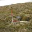 Walkover survey, Site d, Windy Standard Wind Farm Extension, Carsphairn Forest, Dumfries and Galloway