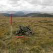 Walkover survey, Site e, Windy Standard Wind Farm Extension, Carsphairn Forest, Dumfries and Galloway