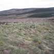 Ground penetrating radar survey, Topography over the S Yarrows 1 site, Loch of Yarrows, Highland