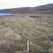 Ground penetrating radar survey, Peg marking the corner of the S Yarrows grid survey, Loch of Yarrows, Highland
