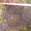 Ground penetrating radar survey, Base of test pit at the end of S Yarrows Transect 2, Loch of Yarrows, Highland