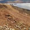 Field survey, Site 12 bank, YX7, Replacement Overhead Line (YX route), Ben Cruachan Hydro Power Station to Dalmally Substation, Argyll and Bute