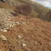 Field survey, Site 12 bank, YX7, Replacement Overhead Line (YX route), Ben Cruachan Hydro Power Station to Dalmally Substation, Argyll and Bute