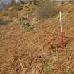 Field survey, Site 12 bank, YX7, Section as cut by track, Replacement Overhead Line (YX route), Ben Cruachan Hydro Power Station to Dalmally Substation, Argyll and Bute