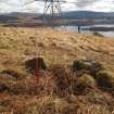 Field survey, Site 13, ?robbed cairn, YX8, Replacement Overhead Line (YX route), Ben Cruachan Hydro Power Station to Dalmally Substation, Argyll and Bute