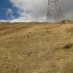 Field survey, YX10 ATV access, Replacement Overhead Line (YX route), Ben Cruachan Hydro Power Station to Dalmally Substation, Argyll and Bute