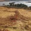 Field survey, Site 5a bank, Replacement Overhead Line (YX route), Ben Cruachan Hydro Power Station to Dalmally Substation, Argyll and Bute