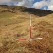 Field survey, Site 5a bank, Replacement Overhead Line (YX route), Ben Cruachan Hydro Power Station to Dalmally Substation, Argyll and Bute