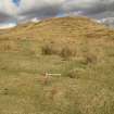 Field survey, Site 5b rig and furrow, Replacement Overhead Line (YX route), Ben Cruachan Hydro Power Station to Dalmally Substation, Argyll and Bute