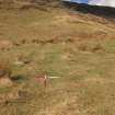 Field survey, Site 5b rig and furrow, Replacement Overhead Line (YX route), Ben Cruachan Hydro Power Station to Dalmally Substation, Argyll and Bute