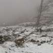 Field survey, YX2 general view, Replacement Overhead Line (YX route), Ben Cruachan Hydro Power Station to Dalmally Substation, Argyll and Bute